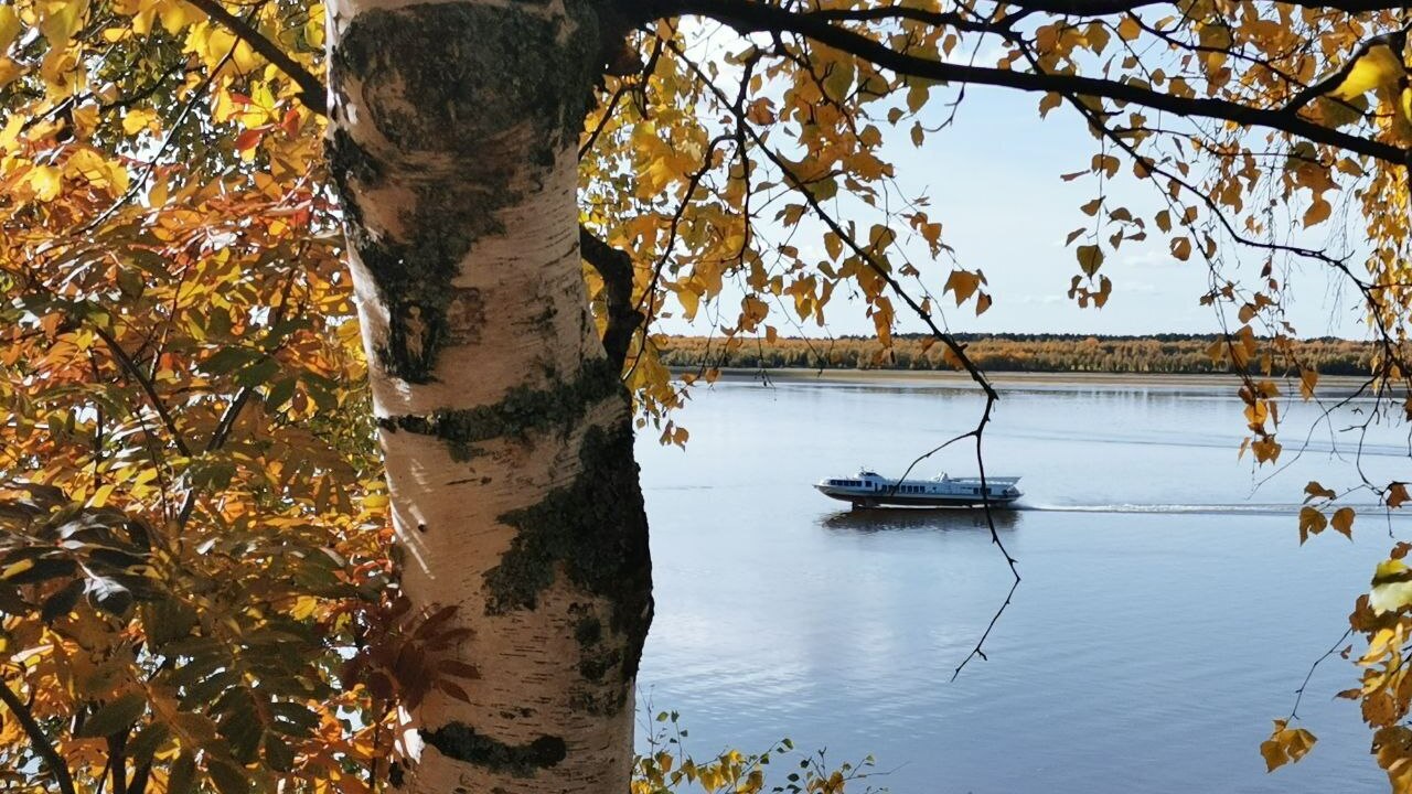 Здесь мы живём, учимся, взрослеем